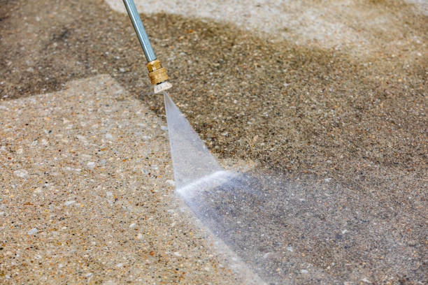 Best Gutter Cleaning and Brightening in Williamsburg, FL